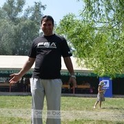 ���������� �������, ���� ������� Arlekin, 55 ���, ������������ ��� ������