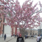 ���������� ���������, ���� ������� �����, 44 ����, ������������ ��� ������, ����� � ���������, c�������� ���������