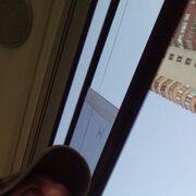 ���������� ������, ���� ������� ������, 38 ���, ������������ ��� ������, ���������