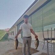 ���������� �������, ������� ��������, 34