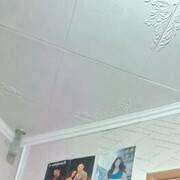  ,  , 37