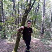 ���������� ���������, ���� ������� ���������, 38 ���, ������������ ��� ������, ����� � ���������, c�������� ���������