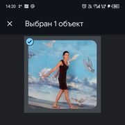  ,   , 46 ,   ,   , 