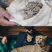 ���������� �����, ���� ������� �����, 35 ���, ������������ ��� ������, ����� � ���������, c�������� ���������, ���������