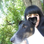 ���������� ���������, ���� ������� ��������, 48 ���, ������������ ��� ����� � ���������, c�������� ���������