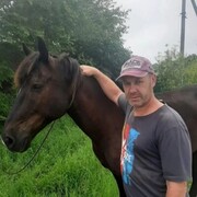 ���������� ���������, ���� ������� ���������, 51 ���, ������������ ��� c�������� ���������