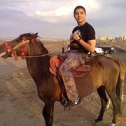 ���������� ����, ���� ������� Cavad, 33 ����, ������������ ��� ������, ���������