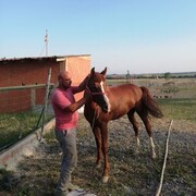  Korfez,  Vedat, 45