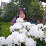 ���������� �����-���������, ���� ������� ����, 42 ����, ������������ ��� ������, ���������