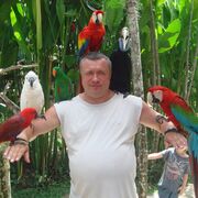  ,   , 58 ,   ,   
