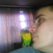 ,   , 35 ,  