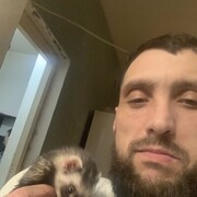 ���������� ����������, ���� ������� �������, 43 ����, ������������ ��� ������, ����� � ���������