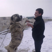  ,   Tatul, 35 ,   ,   , c 