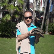  ,   , 57 ,   ,   