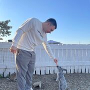 ���������� ���������, ���� ������� ������, 31 ���, ������������ ��� ������, ����� � ���������, c�������� ���������