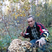 ���������� �������, ���� ������� �������, 59 ���, ������������ ��� ������, ����� � ���������, c�������� ���������