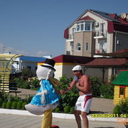   ,   , 53 ,  