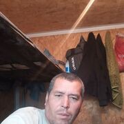 ���������� ���������, ���� ������� ��������, 41 ���, ������������ ��� ������, ����� � ���������