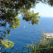 ���������� �������, ���� ������� Igor, 62 ����, ������������ ��� ������, ����� � ���������, c�������� ���������