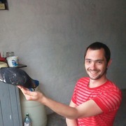  ,   , 38 ,   ,   , c 