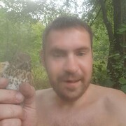  ,   , 37 ,  