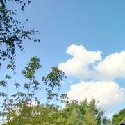  ,  , 22