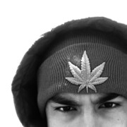  ,   , 21 ,     , c 