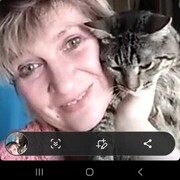 ���������� ������, ���� ������� ��������, 48 ���, ������������ ��� ������, ����� � ���������