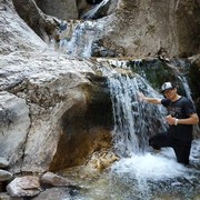  ,   Abror, 37 ,   ,   , c 