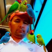  -,   Asrorjon, 38 ,   ,   , c , 