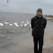 ���������� �����, ���� ������� Heckfy499, 33 ����, ������������ ��� ����� � ���������, c�������� ���������