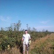  ,   , 33 ,   ,   , c 