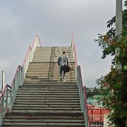 ���������� ��������, ���� ������� ������, 43 ����, ������������ ��� ������, ����� � ���������