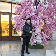 ���������� ����, ���� ������� �������, 57 ���, ������������ ��� c�������� ���������, ���������