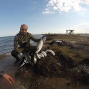 ���������� ����, ���� ������� ����, 45 ���, ������������ ��� ������, ����� � ���������