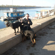 ���������� ��������, ���� ������� ����������, 64 ����, ������������ ��� ������, ����� � ���������