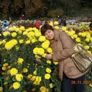 ���������� �����������, ���� ������� �������, 52 ����, ������������ ��� ������, ����� � ���������, c�������� ���������