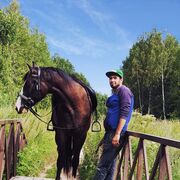 ���������� ������, ���� ������� ���, 36 ���, ������������ ��� ������, ����� � ���������, c�������� ���������, ���������