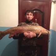 ���������� ������, ���� ������� ����, 47 ���, ������������ ��� ������, ����� � ���������, c�������� ���������, ���������