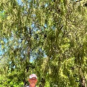  ,   , 53 ,   ,   