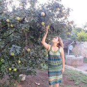 ���������� �����������, ���� ������� ����, 36 ���, ������������ ��� ����� � ���������, c�������� ���������