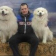 ���������� �����������, ���� ������� ���, 42 ����, ������������ ��� ������, ����� � ���������, c�������� ���������, ���������