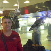  ,   Maris, 45 ,     , c 