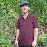  ,   , 53 ,  
