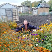 ���������� ��������, ���� ������� ������, 40 ���, ������������ ��� ������, ����� � ���������, c�������� ���������