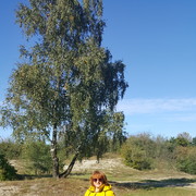 ,   , 58 ,     , c 