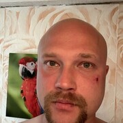 ���������� �����-���������, ���� ������� ����, 37 ���, ������������ ��� ������, ����� � ���������