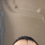  ,   Alimardon, 41 ,   ,   