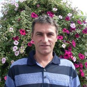  ,   , 51 ,   