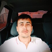 ���������� ������ �����, ���� ������� �����������, 32 ����, ������������ ��� ����� � ���������, c�������� ���������